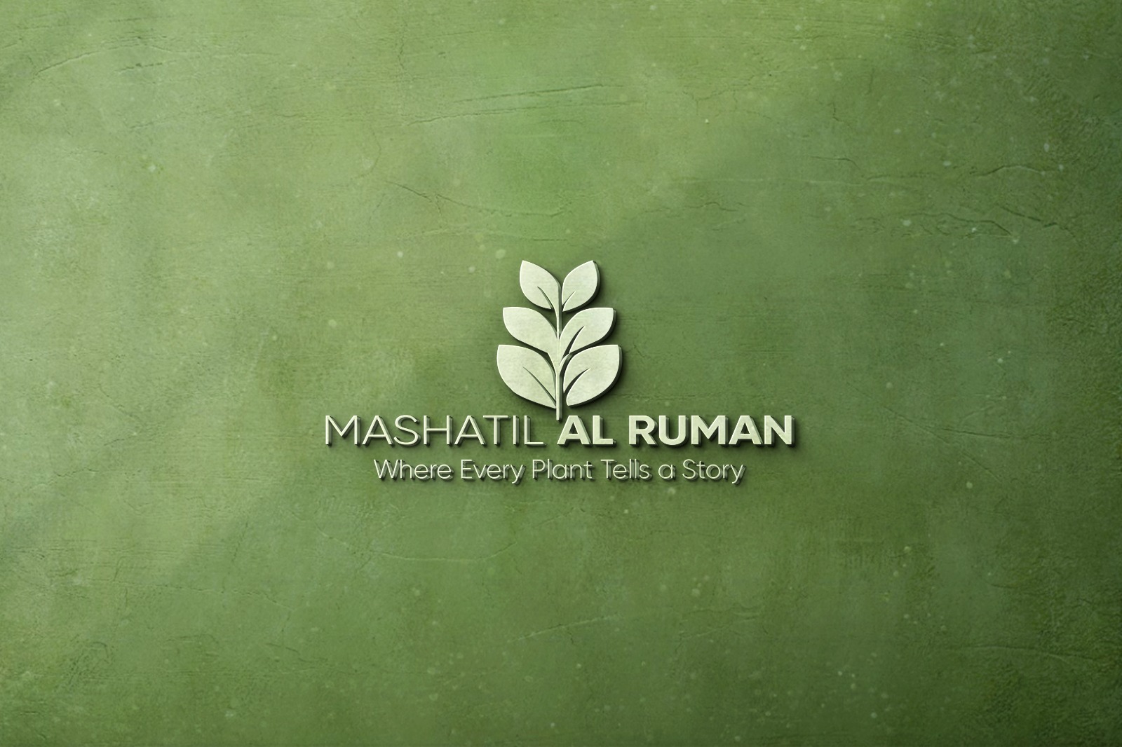 Indoor Plant Decoration